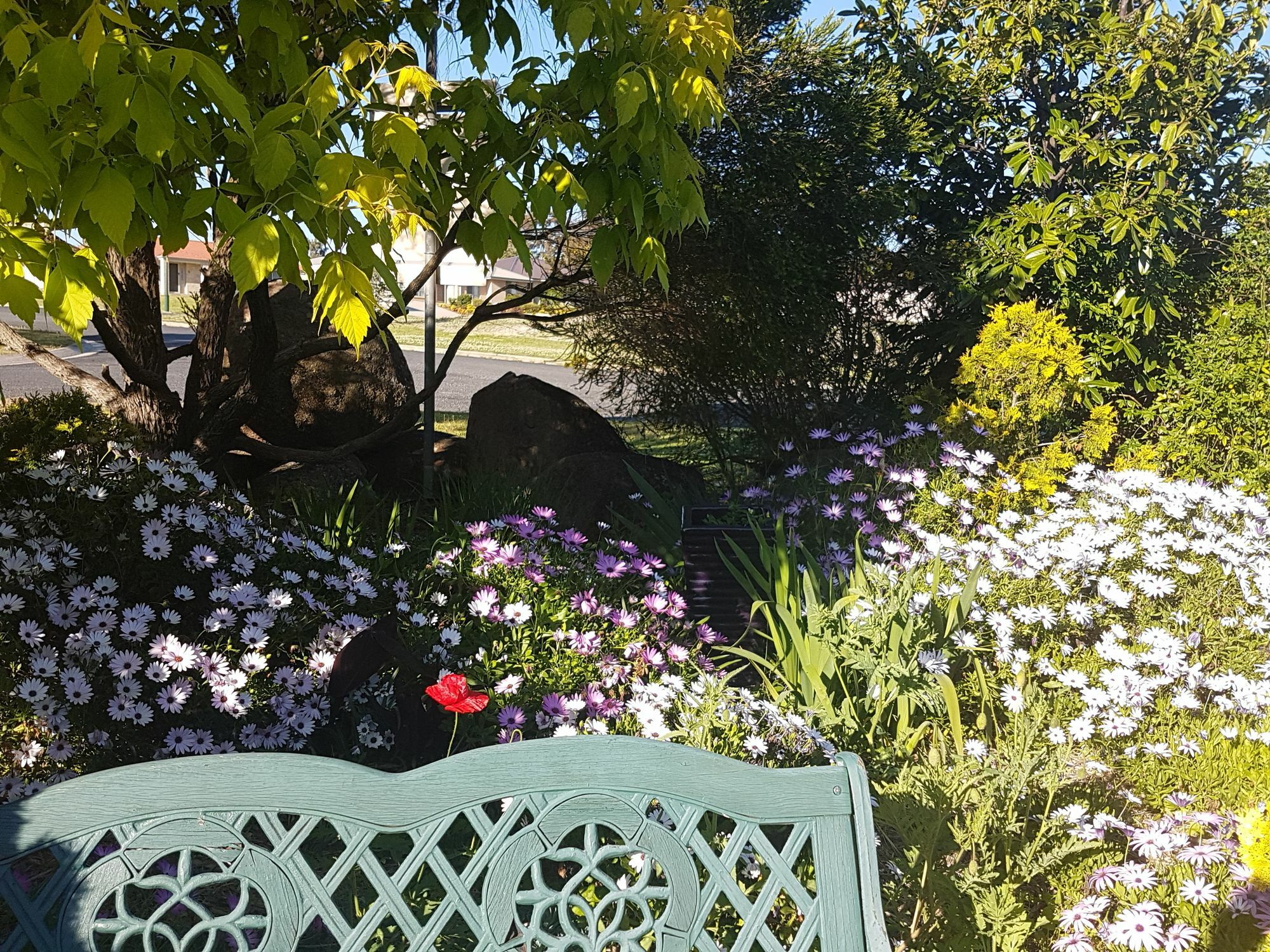 Grovely House Bed & Breakfast Stanthorpe Dış mekan fotoğraf